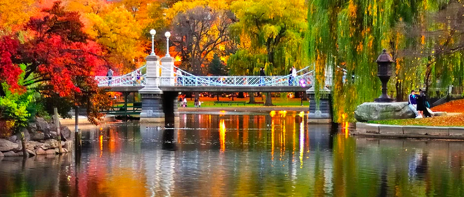 Public garden photo of bridge over water